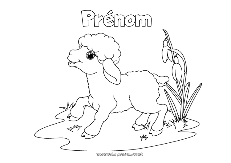 Coloriage à imprimer Printemps Animal Pâques Agneau