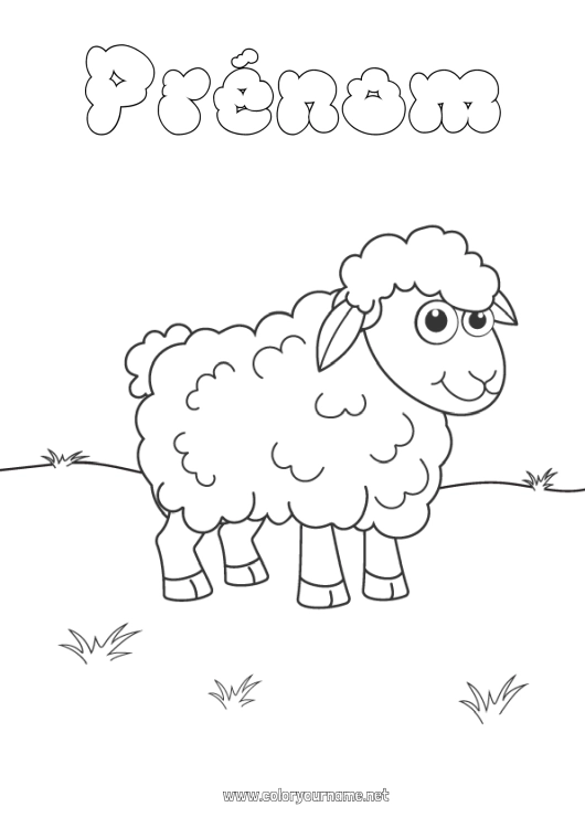 Coloriage à imprimer Mouton Printemps Animal Animaux de la ferme Agneau