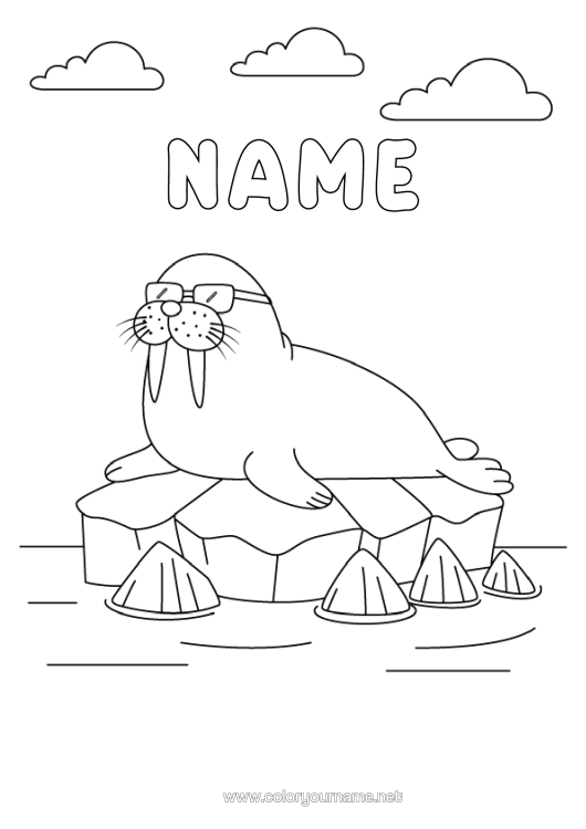 Colouring page to print Animal Seal Marine Or Aquatic Animals Morse Glasses Pack Ice