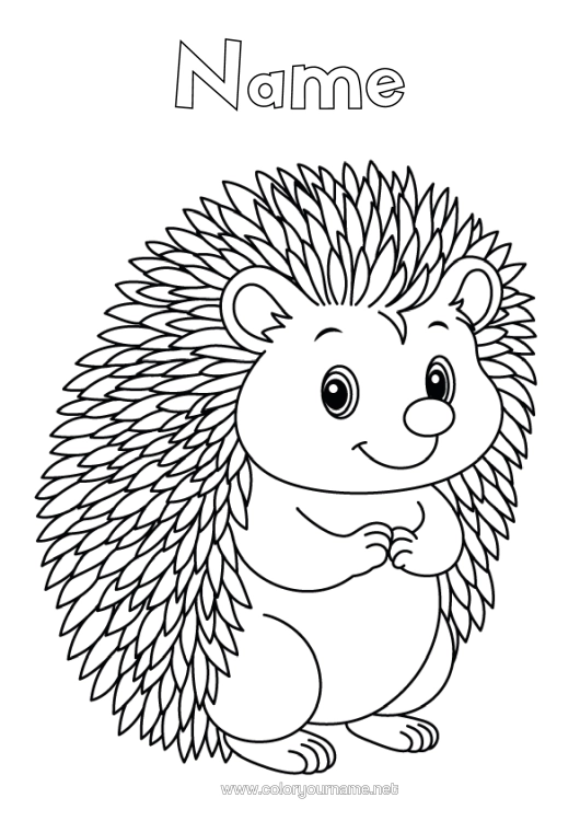 Colouring page to print Hedgehog Animal Forest Animals