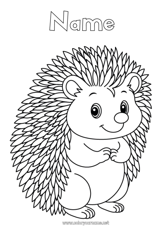 Coloring page to print Hedgehog Animal Forest animals