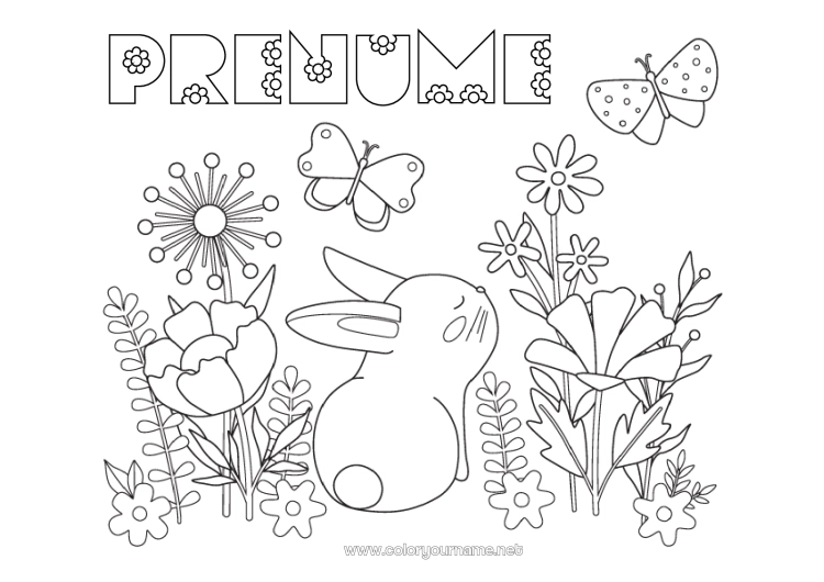 Pagină de colorat de imprimat Flori Iepure Fluture Animal Insecte Animale din pădure