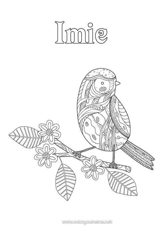 Kolorowanka do wydruku Ptak Zwierzę Zentangle Ptaki i latające ssaki