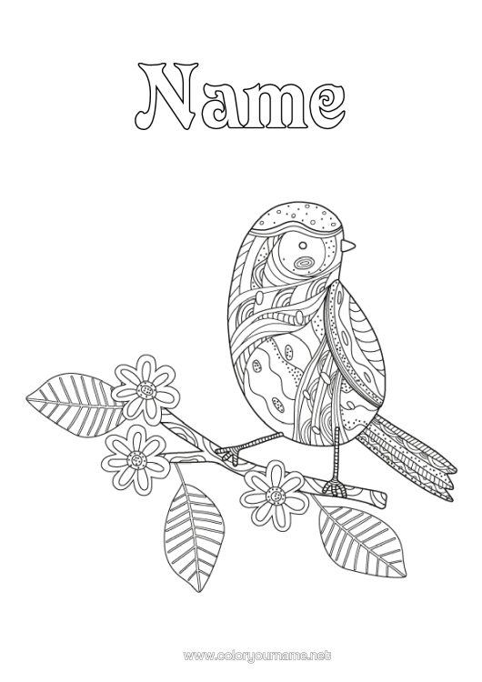 Colouring page to print Bird Animal Zentangle Birds And Flying Mammals