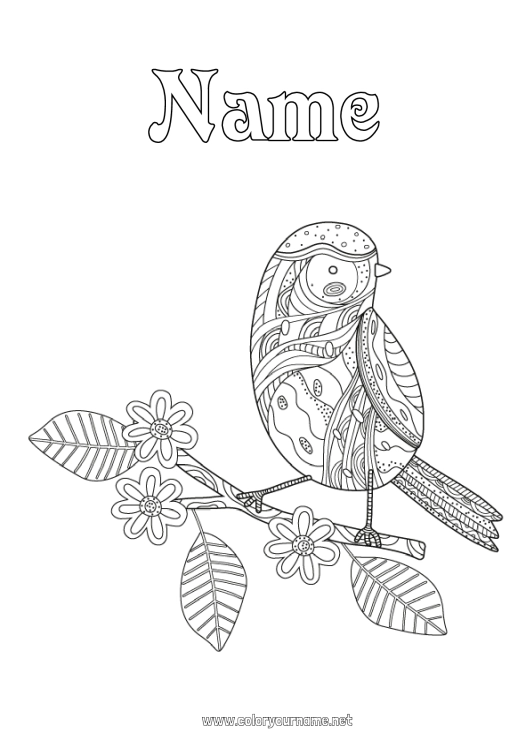 Coloring page to print Bird Animal Zentangle Flying birds and mammals