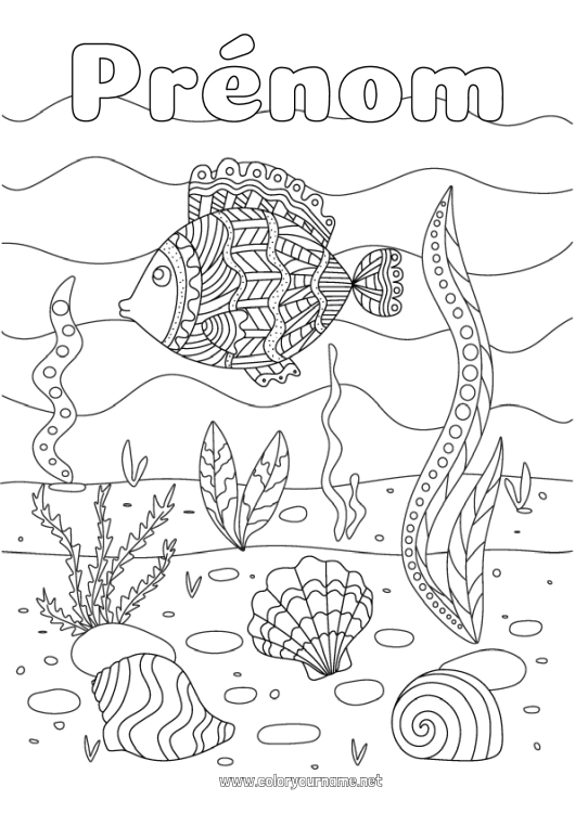 Coloriage à imprimer Mer Poisson Coquillages Animaux marins ou aquatique