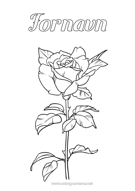 Farvelægningssiden til udskrivning Blomster Rose Sant Jordi eller Sankt Georg