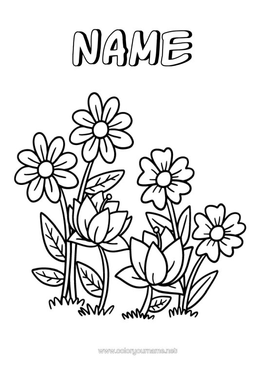 Colouring page to print Flowers Spring