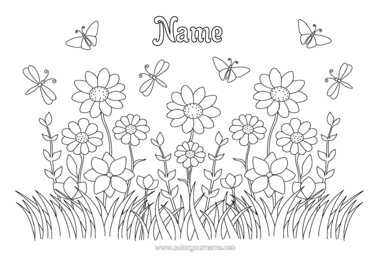Colouring page to print Flowers Summer Spring Butterfly Insects Dragonfly