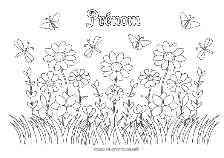 Coloriage à imprimer Fleurs Été Printemps Papillon Insectes Libellule