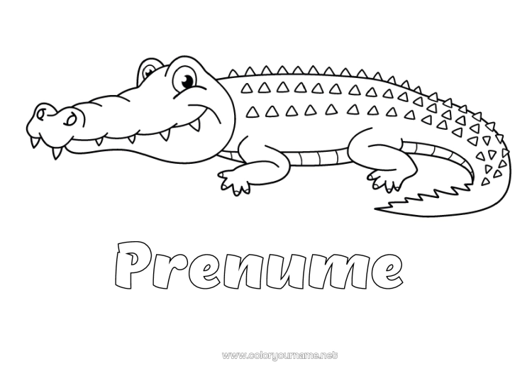 Pagină de colorat de imprimat Crocodil Animal Reptile
