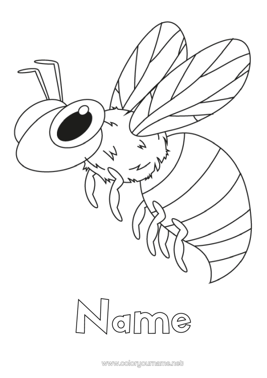 Colouring page to print Animal Bee Insects