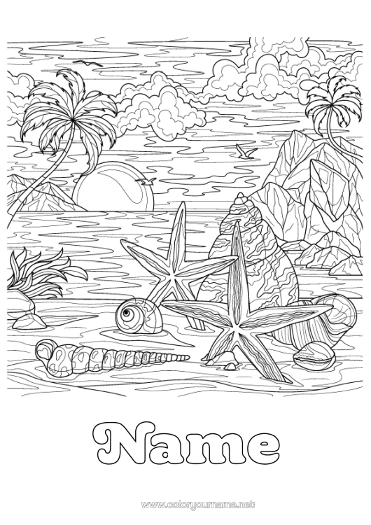 Colouring page to print Calm And Zen Summer Beach Sea Shellfish Complex Colouring Pages Starfish Marine Or Aquatic Animals