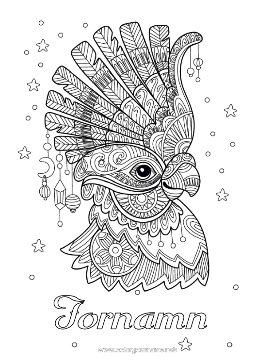 Färgläggningssida att skriva ut Djur Karneval Papegoja Komplexa målarbilder Zentangle Fåglar och flygande däggdjur