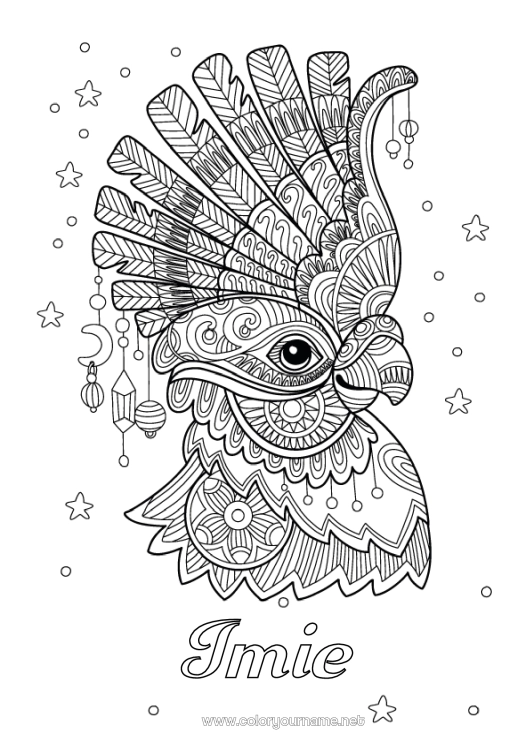 Kolorowanka do wydruku Zwierzę Karnawał Papuga Złożone kolorowanki Zentangle Ptaki i latające ssaki