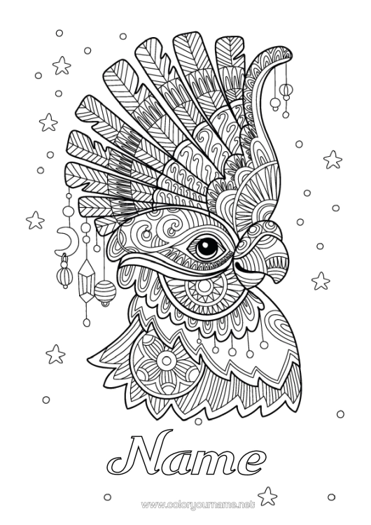Colouring page to print Animal Carnival Parrot Complex Colouring Pages Zentangle Birds And Flying Mammals