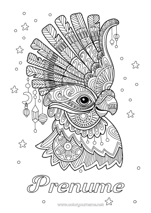 Pagină de colorat de imprimat Animal Carnaval Papagal Desene de colorat complexe Zentangle Păsări și mamifere zburătoare