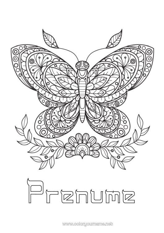 Pagină de colorat de imprimat Mandala Fluture Animal Desene de colorat complexe Zentangle Insecte