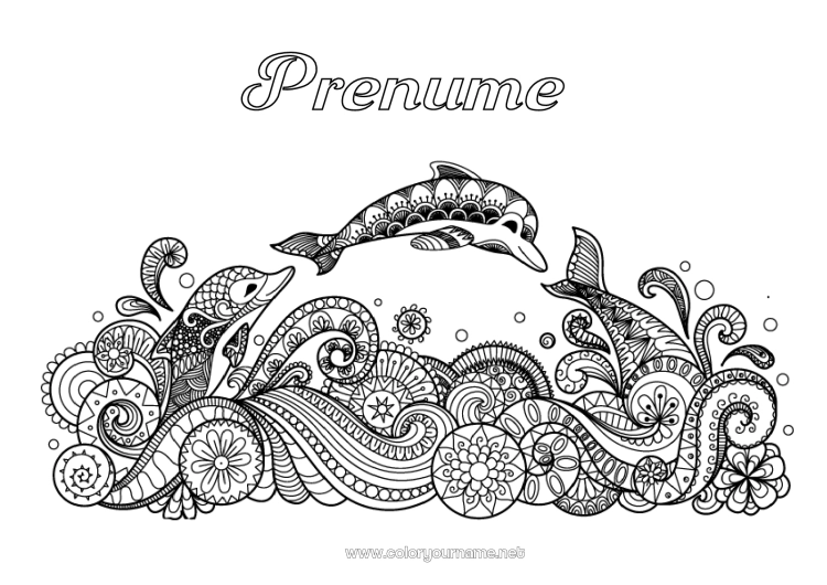 Pagină de colorat de imprimat Mare Animal Delfin Desene de colorat complexe Zentangle Animale marine sau acvatice