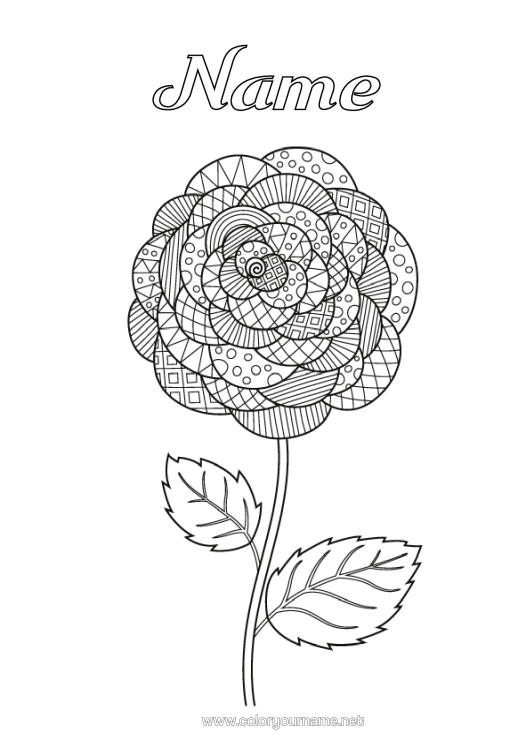 Colouring page to print Flowers Zentangle Camelia