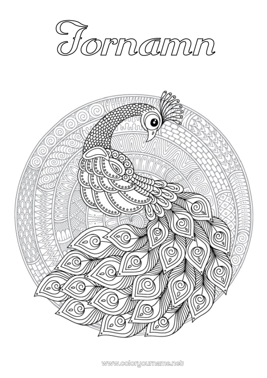 Färgläggningssida att skriva ut Mandala Djur Påfågel Komplexa målarbilder Zentangle Fåglar och flygande däggdjur