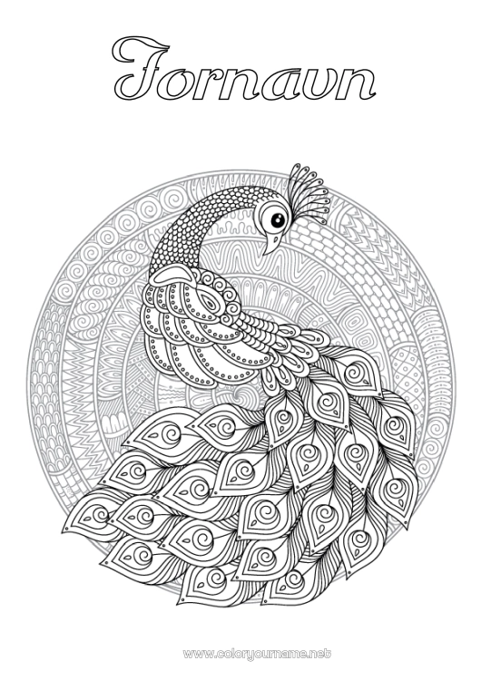 Farvelægningssiden til udskrivning Mandala Dyr Påfugl Komplekse farvelægninger Zentangle Fugle og flyvende pattedyr