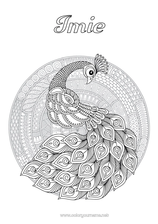 Kolorowanka do wydruku Mandala Zwierzę Paw Złożone kolorowanki Zentangle Ptaki i latające ssaki