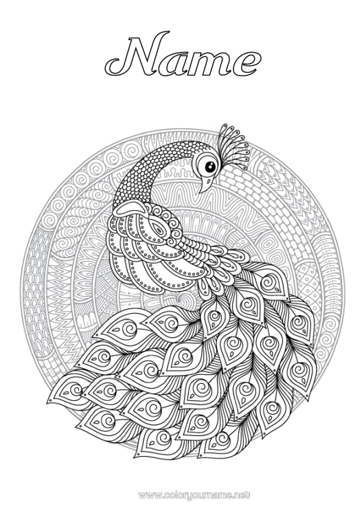 Colouring page to print Mandala Animal Peacock Complex Colouring Pages Zentangle Birds And Flying Mammals
