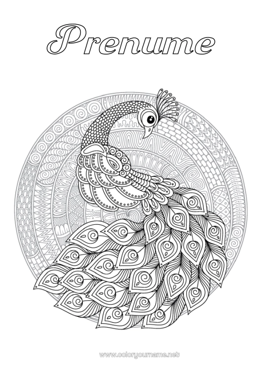 Pagină de colorat de imprimat Mandala Animal Păun Desene de colorat complexe Zentangle Păsări și mamifere zburătoare
