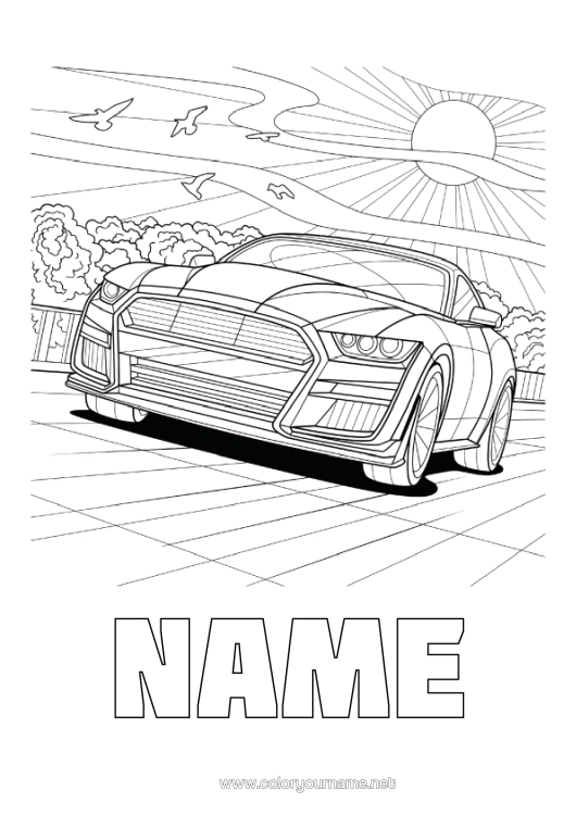 Colouring page to print Vehicles Car Racing Car Complex Colouring Pages Cars, Vans And Motorhomes Race Cars And Circuits