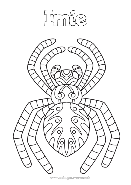 Kolorowanka do wydruku Pająk Zwierzę Kolorowanki pośrednie Zentangle Owady