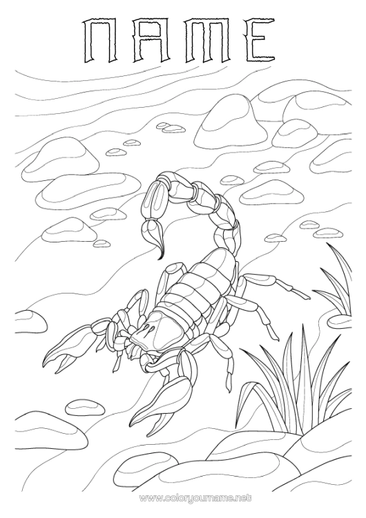 Colouring page to print Animal Wild Animals Of Africa Scorpion