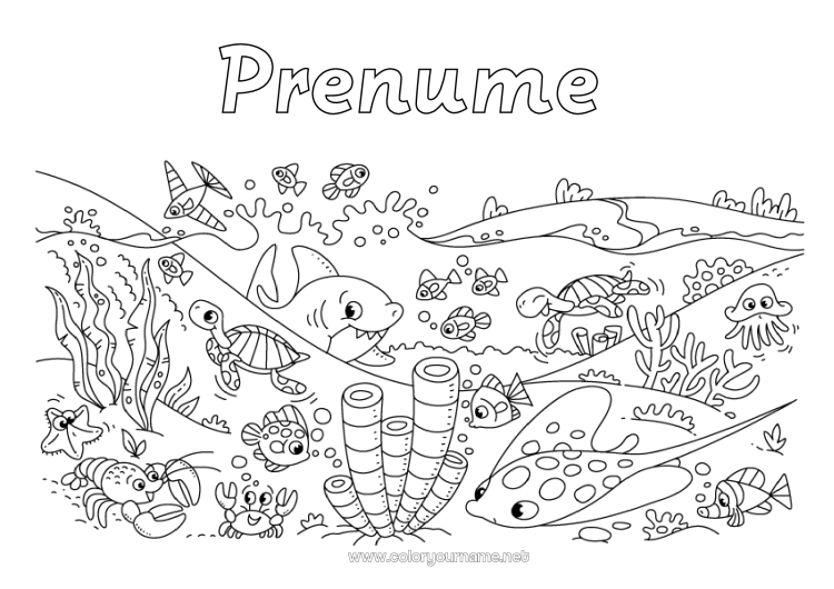 Pagină de colorat de imprimat Broască țestoasă Mare Animal Rechin Raie Stea de mare Animale marine sau acvatice Reptile Caracatiță, polip Homar Broască țestoasă marină