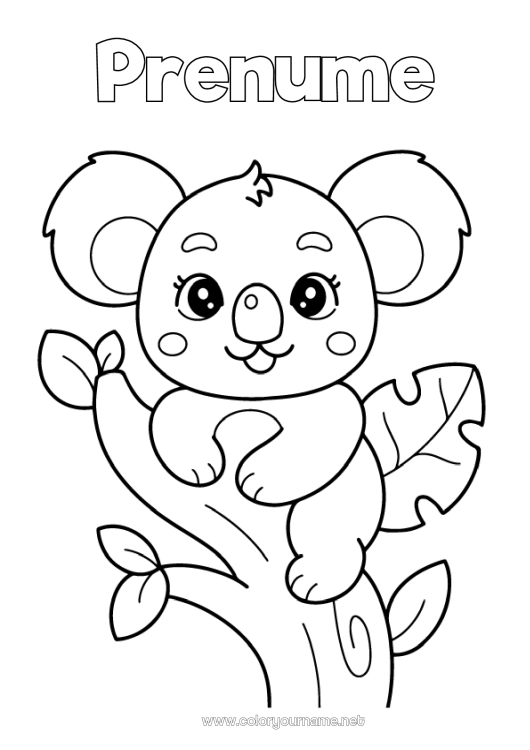 Pagină de colorat de imprimat Drăguț Animal Koala Alte animale din lume