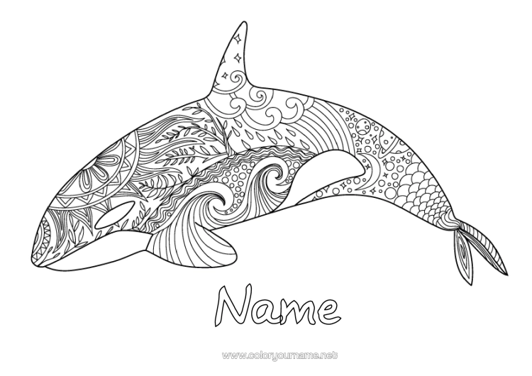 Colouring page to print Whale Animal Zentangle Marine Or Aquatic Animals Orca