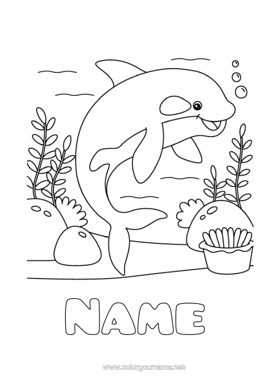Colouring page to print Sea Animal Dolphin Easy Colouring Pages Marine Or Aquatic Animals Orca