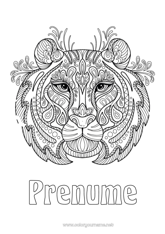 Pagină de colorat de imprimat Tigru Animal Zentangle Animale sălbatice din Africa Cap