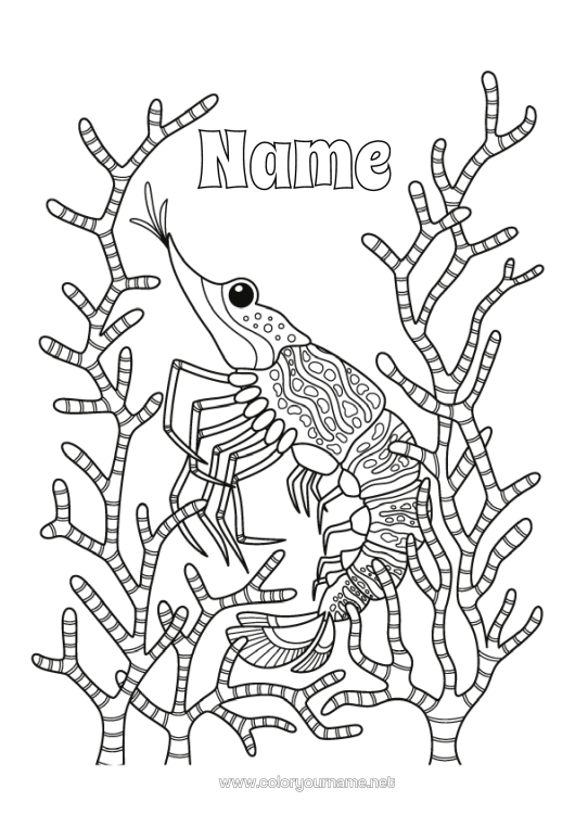 Colouring page to print Sea Animal Marine Or Aquatic Animals Shrimp
