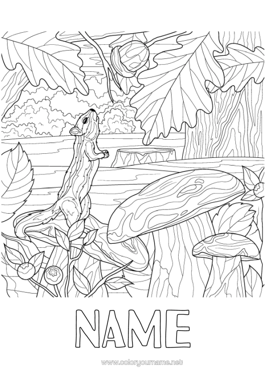 Colouring page to print Squirrel Autumn Animal Mushroom Complex Colouring Pages Forest Animals Gland Forest Elderberry Realistic