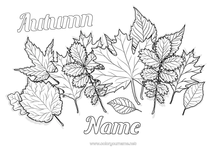 Colouring page to print Autumn Leaves Oak Maple