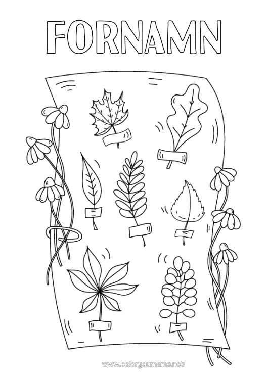 Färgläggningssida att skriva ut Höst Blad Vetenskap Ek Lönn Herbarium