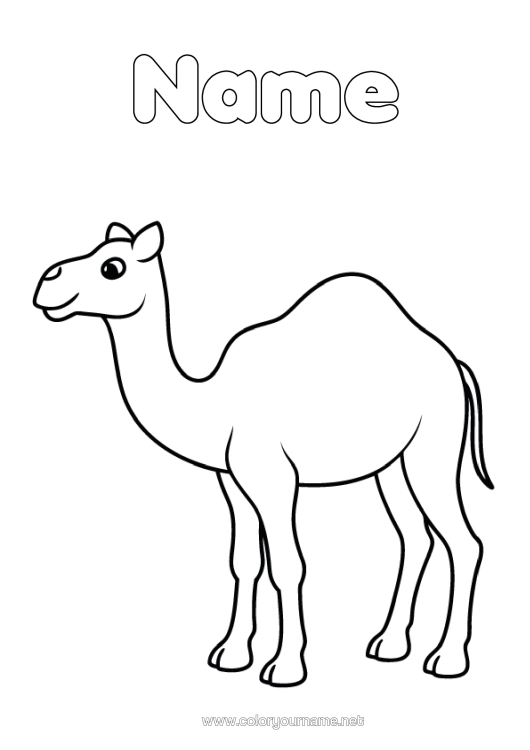 Colouring page to print Animal Easy Colouring Pages Wild Animals Of Africa Camel, Dromedary
