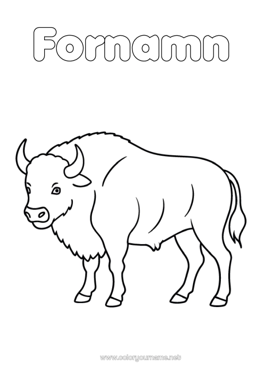 Färgläggningssida att skriva ut Djur Lätta målarbilder Andra djur i världen Bison