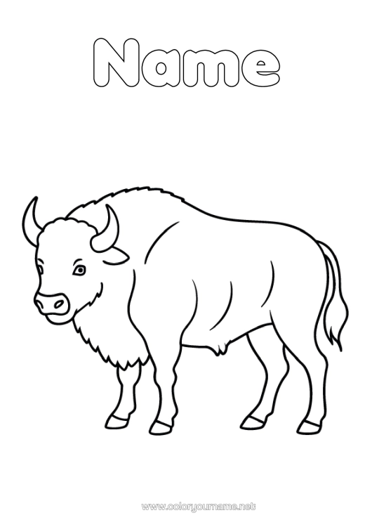 Colouring page to print Animal Easy Colouring Pages Other Animals Of The World Bison