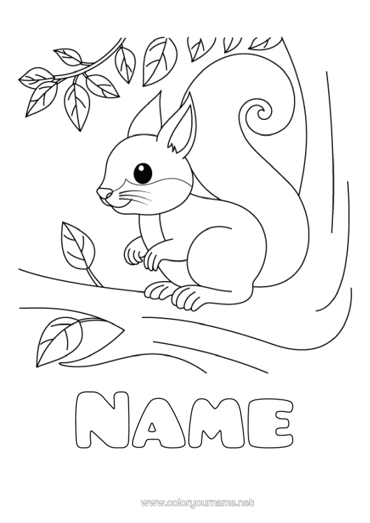 Colouring page to print Cute Squirrel Animal Tree Forest Animals