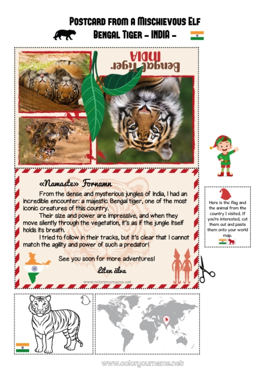 Färgläggningssida att skriva ut Tigern Djur Afrikas vilda djur Julälvens resa Postkort Postkort från en ENDA tomte Indien