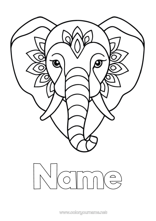 Colouring page to print Elephant Animal Easy Colouring Pages Wild Animals Of Africa India