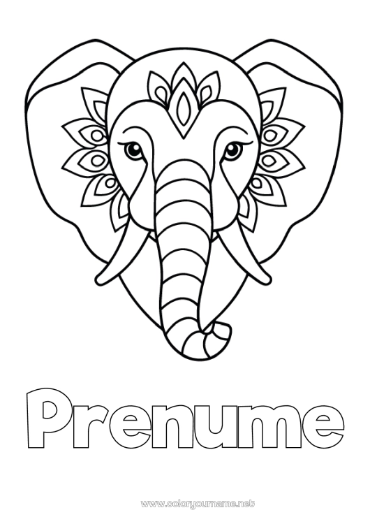 Pagină de colorat de imprimat Elefant Animal Desene de colorat ușoare Animale sălbatice din Africa India