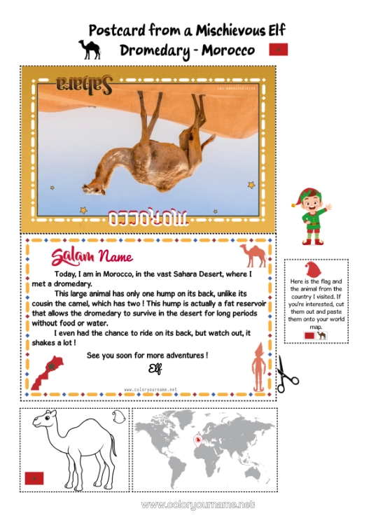 Colouring page to print Animal Wild Animals Of Africa Mischievous Elf's Journey Postcard Camel, Dromedary Postcard Of A Single Elf Morocco A Single Mischievous Elf