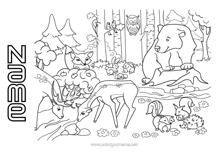 Colouring page to print Bear Squirrel Fox Owl, Tawny Owl Animal Birds And Flying Mammals Forest Animals Deer